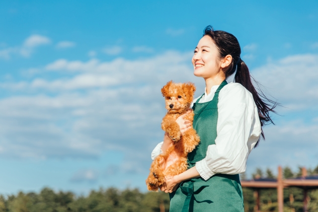 合同会社　藤村本店 ふじむら犬と猫の病院の正社員 医療・介護・福祉 その他の求人情報イメージ1