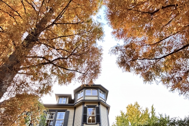 よこだしクリニック